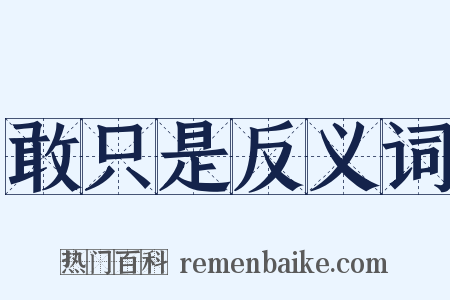 敢只是反义词是什么意思的图片